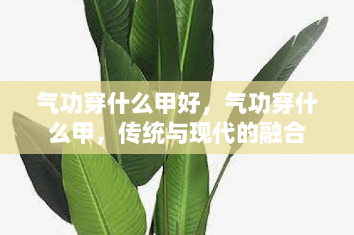 气功穿什么甲好,气功穿什么甲,传统与现代的融合 气功穿什么甲好,气功穿什么甲,传统与现代的融合