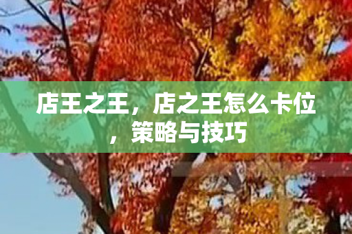 店王之王,店之王怎么卡位,策略与技巧 店王之王,店之王怎么卡位,策略与技巧