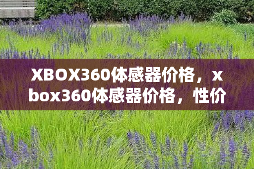 XBOX360体感器价格，xbox360体感器价格，性价比之选，重温经典游戏体验