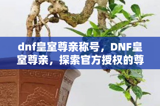 dnf皇室尊亲称号,DNF皇室尊亲,探索官方授权的尊贵体验 dnf皇室尊亲称号,DNF皇室尊亲,探索官方授权的尊贵体验