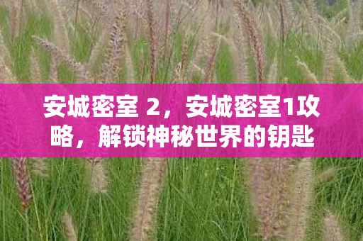安城密室 2，安城密室1攻略，解锁神秘世界的钥匙