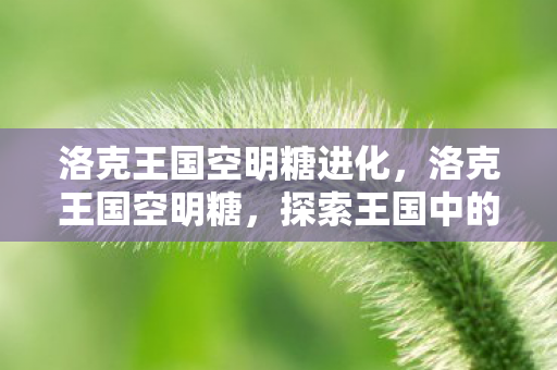洛克王国空明糖进化,洛克王国空明糖,探索王国中的甜蜜奇迹 洛克王国空明糖进化,洛克王国空明糖,探索王国中的甜蜜奇迹