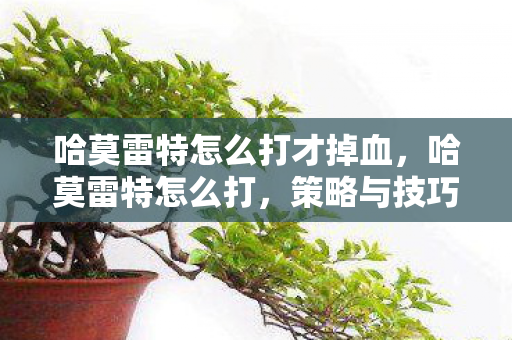 哈莫雷特怎么打才掉血,哈莫雷特怎么打,策略与技巧详解 哈莫雷特怎么打才掉血,哈莫雷特怎么打,策略与技巧详解