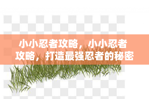 小小忍者攻略,小小忍者 攻略,打造最强忍者的秘密 小小忍者攻略,小小忍者 攻略,打造最强忍者的秘密