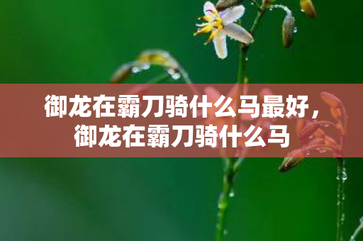 御龙在霸刀骑什么马最好，御龙在霸刀骑什么马