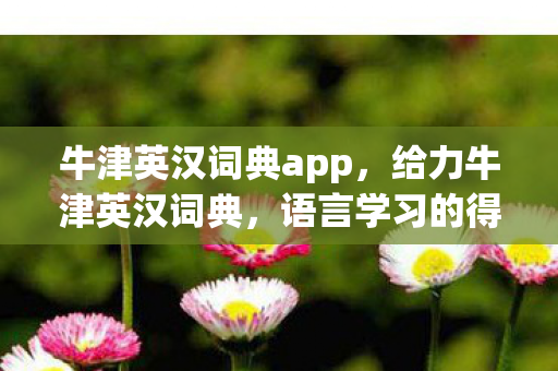 牛津英汉词典app,给力牛津英汉词典,语言学习的得力助手 牛津英汉词典app,给力牛津英汉词典,语言学习的得力助手