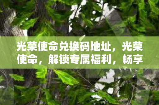光荣使命兑换码地址,光荣使命,解锁专属福利,畅享游戏新体验 光荣使命兑换码地址,光荣使命,解锁专属福利,畅享游戏新体验