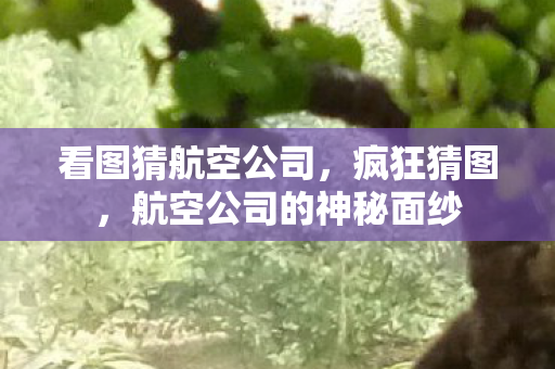 看图猜航空公司,疯狂猜图,航空公司的神秘面纱 看图猜航空公司,疯狂猜图,航空公司的神秘面纱