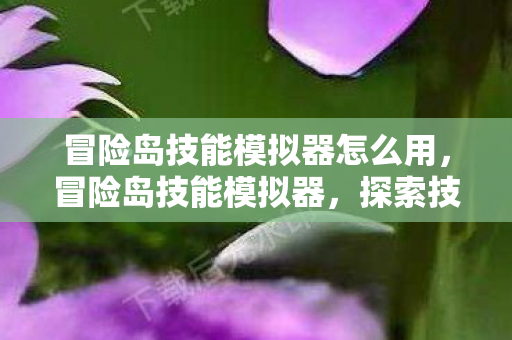 冒险岛技能模拟器怎么用,冒险岛技能模拟器,探索技能搭配与战斗策略的新境界 冒险岛技能模拟器怎么用,冒险岛技能模拟器,探索技能搭配与战斗策略的新境界