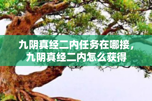 九阴真经二内任务在哪接，九阴真经二内怎么获得