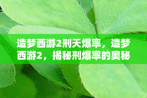 造梦西游2刑天爆率，造梦西游2，揭秘刑爆率的奥秘