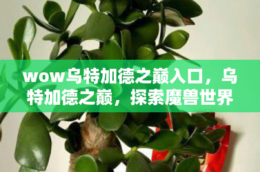 wow乌特加德之巅入口,乌特加德之巅,探索魔兽世界的隐秘之地 wow乌特加德之巅入口,乌特加德之巅,探索魔兽世界的隐秘之地