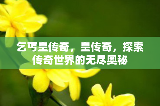乞丐皇传奇,皇传奇,探索传奇世界的无尽奥秘 乞丐皇传奇,皇传奇,探索传奇世界的无尽奥秘