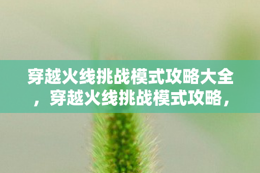 穿越火线挑战模式攻略大全,穿越火线挑战模式攻略,提升生存与战斗效率 穿越火线挑战模式攻略大全,穿越火线挑战模式攻略,提升生存与战斗效率