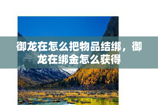 御龙在怎么把物品结绑,御龙在绑金怎么获得 御龙在怎么把物品结绑,御龙在绑金怎么获得
