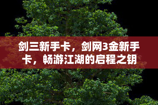 剑三新手卡,剑网3金新手卡,畅游江湖的启程之钥 剑三新手卡,剑网3金新手卡,畅游江湖的启程之钥