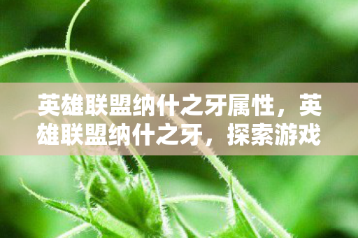 英雄联盟纳什之牙属性,英雄联盟纳什之牙,探索游戏中的神秘传说 英雄联盟纳什之牙属性,英雄联盟纳什之牙,探索游戏中的神秘传说