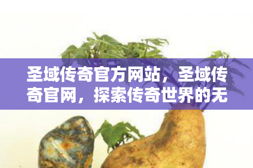 圣域传奇官方网站，圣域传奇官网，探索传奇世界的无尽奥秘