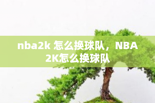nba2k 怎么换球队，NBA2K怎么换球队