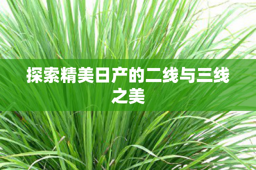 探索精美日产的二线与三线之美 探索精美日产的二线与三线之美
