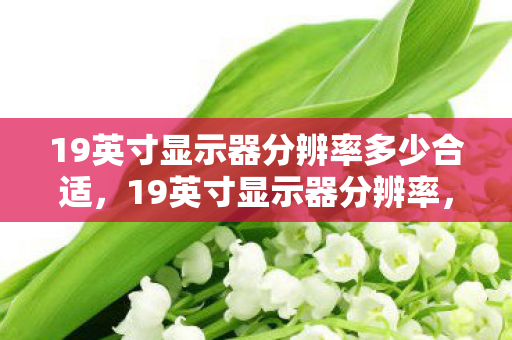 19英寸显示器分辨率多少合适，19英寸显示器分辨率，解析与选择指南