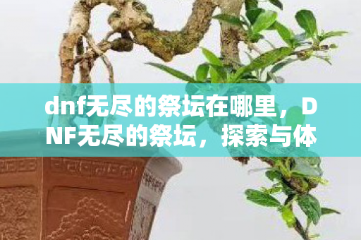 dnf无尽的祭坛在哪里,DNF无尽的祭坛,探索与体验 dnf无尽的祭坛在哪里,DNF无尽的祭坛,探索与体验