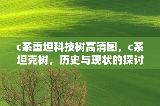c系重坦科技树高清图,c系坦克树,历史与现状的探讨 c系重坦科技树高清图,c系坦克树,历史与现状的探讨