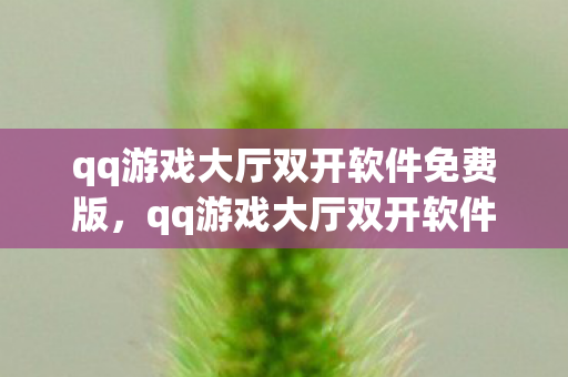 qq游戏大厅双开软件免费版,qq游戏大厅双开软件,提升游戏效率与乐趣的利器 qq游戏大厅双开软件免费版,qq游戏大厅双开软件,提升游戏效率与乐趣的利器