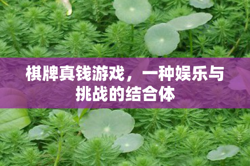 棋牌真钱游戏,一种娱乐与挑战的结合体 棋牌真钱游戏,一种娱乐与挑战的结合体