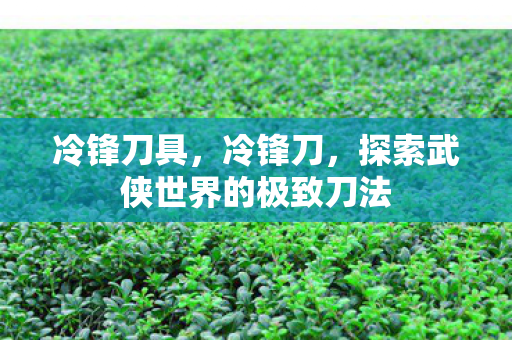 冷锋刀具,冷锋刀,探索武侠世界的极致刀法 冷锋刀具,冷锋刀,探索武侠世界的极致刀法