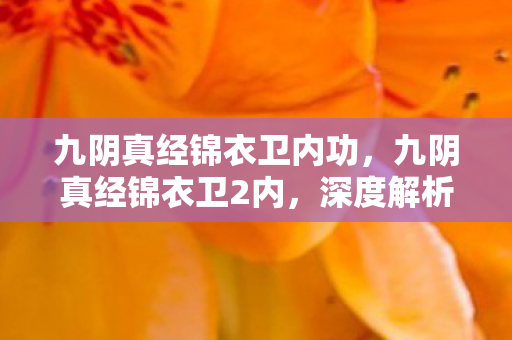 九阴真经锦衣卫内功,九阴真经锦衣卫2内,深度解析游戏内玩法与策略 九阴真经锦衣卫内功,九阴真经锦衣卫2内,深度解析游戏内玩法与策略