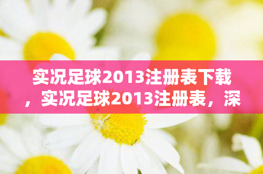 实况足球2013注册表下载图片