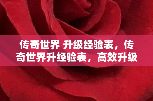传奇世界 升级经验表,传奇世界升经验表,高效升级攻略大揭秘 传奇世界 升级经验表,传奇世界升经验表,高效升级攻略大揭秘
