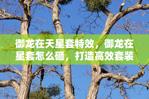 御龙在天星套特效,御龙在星套怎么砸,打造高效套装的策略与技巧 御龙在天星套特效,御龙在星套怎么砸,打造高效套装的策略与技巧