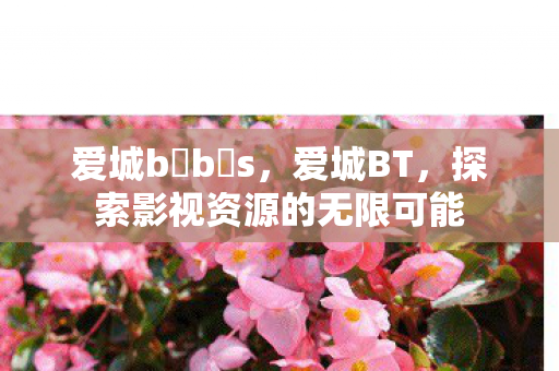 爱城b b s,爱城BT,探索影视资源的无限可能 爱城b b s,爱城BT,探索影视资源的无限可能
