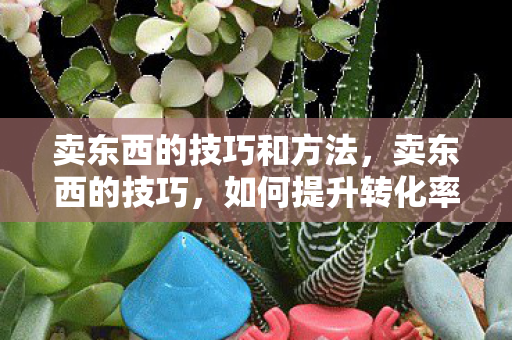 卖东西的技巧和方法，卖东西的技巧，如何提升转化率与顾客满意度