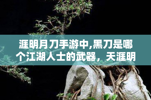 涯明月刀手游中,黑刀是哪个江湖人士的武器,天涯明月刀CDKEY,解锁江湖之旅的密钥 涯明月刀手游中,黑刀是哪个江湖人士的武器,天涯明月刀CDKEY,解锁江湖之旅的密钥