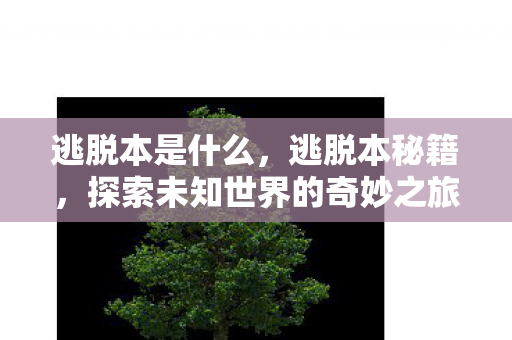 逃脱本是什么,逃脱本秘籍,探索未知世界的奇妙之旅 逃脱本是什么,逃脱本秘籍,探索未知世界的奇妙之旅
