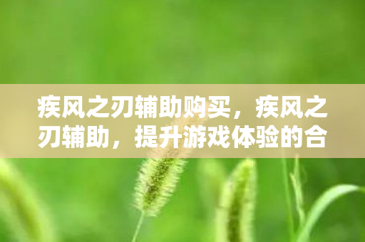 疾风之刃辅助购买,疾风之刃辅助,提升游戏体验的合法途径 疾风之刃辅助购买,疾风之刃辅助,提升游戏体验的合法途径