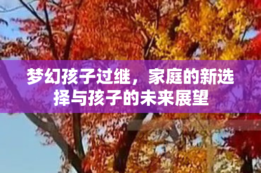 梦幻孩子过继,家庭的新选择与孩子的未来展望 梦幻孩子过继,家庭的新选择与孩子的未来展望