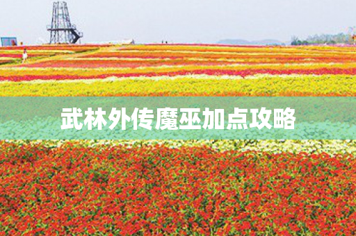 武林外传魔巫加点攻略 武林外传魔巫加点攻略