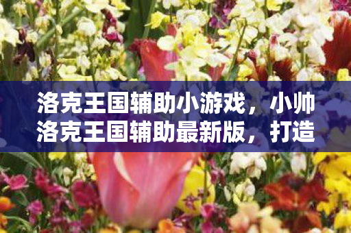 洛克王国辅助小游戏,小帅洛克王国辅助最新版,打造你的专属游戏助手 洛克王国辅助小游戏,小帅洛克王国辅助最新版,打造你的专属游戏助手