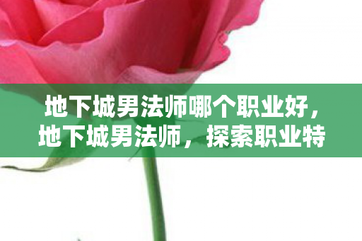 地下城男法师哪个职业好,地下城男法师,探索职业特色与战斗技巧 地下城男法师哪个职业好,地下城男法师,探索职业特色与战斗技巧