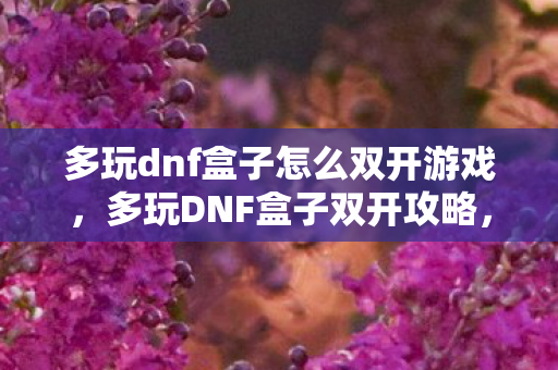 多玩dnf盒子怎么双开游戏，多玩DNF盒子双开攻略，轻松实现游戏多开的秘诀