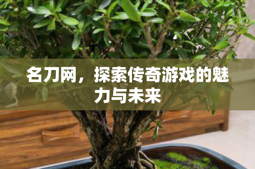 名刀网，探索传奇游戏的魅力与未来