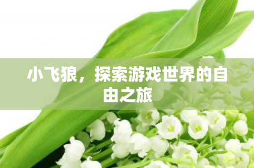 小飞狼,探索游戏世界的自由之旅 小飞狼,探索游戏世界的自由之旅
