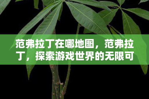 范弗拉丁在哪地图，范弗拉丁，探索游戏世界的无限可能