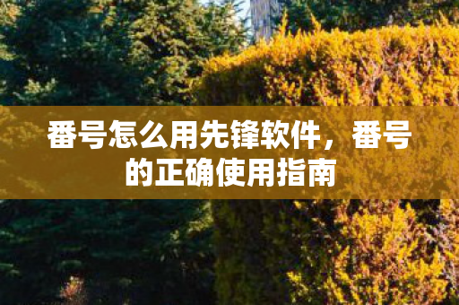番号怎么用先锋软件，番号的正确使用指南