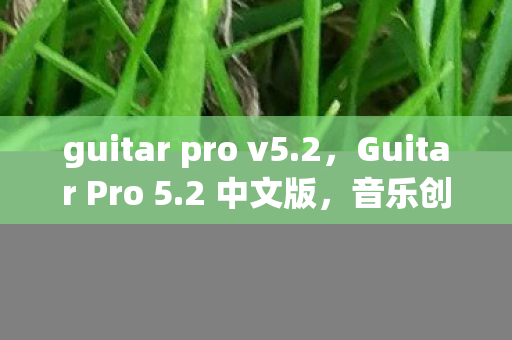 guitar pro v5.2，Guitar Pro 5.2 中文版，音乐创作的得力助手