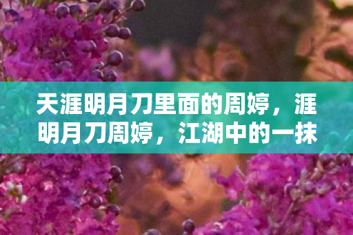 天涯明月刀里面的周婷,涯明月刀周婷,江湖中的一抹柔情 天涯明月刀里面的周婷,涯明月刀周婷,江湖中的一抹柔情